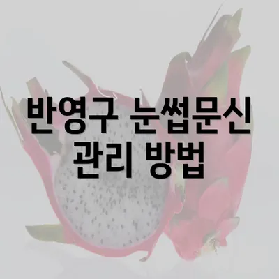 반영구 눈썹문신 관리 방법