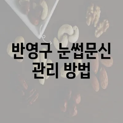 반영구 눈썹문신 관리 방법