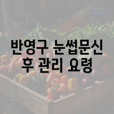 반영구 눈썹문신 후 관리 요령