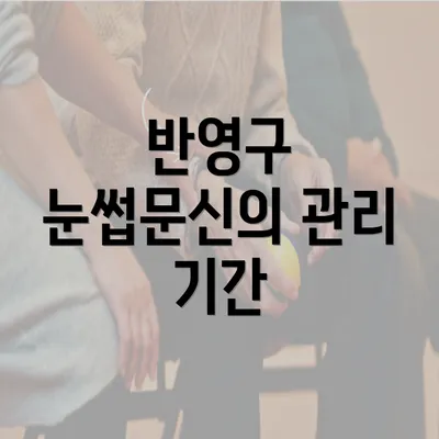 반영구 눈썹문신의 관리 기간