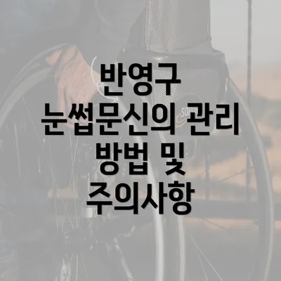 반영구 눈썹문신의 관리 방법 및 주의사항