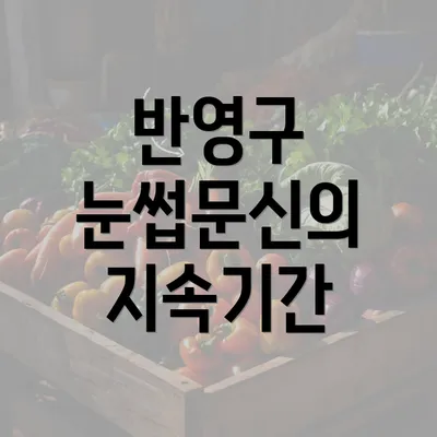 반영구 눈썹문신의 지속기간