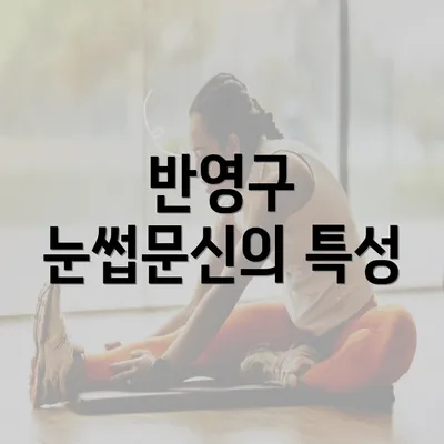 반영구 눈썹문신의 특성