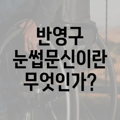 반영구 눈썹문신이란 무엇인가?