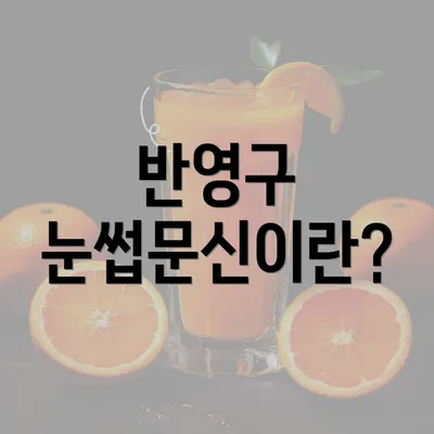 반영구 눈썹문신이란?