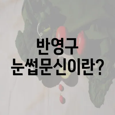 반영구 눈썹문신이란?