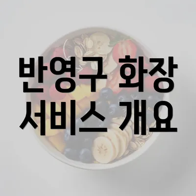 반영구 화장 서비스 개요