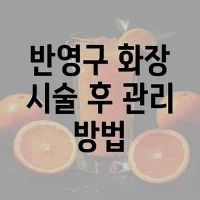 반영구 화장 시술 후 관리 방법