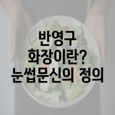 반영구 화장이란? 눈썹문신의 정의