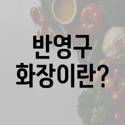 반영구 화장이란?