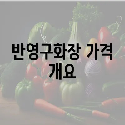 반영구화장 가격 개요