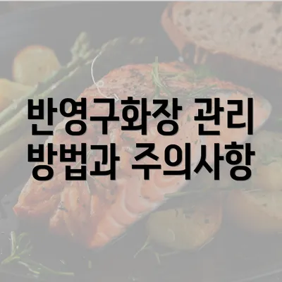 반영구화장 관리 방법과 주의사항