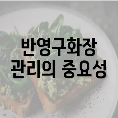 반영구화장 관리의 중요성