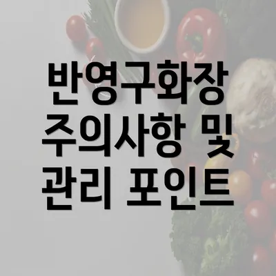 반영구화장 주의사항 및 관리 포인트