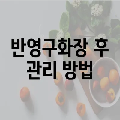 반영구화장 후 관리 방법