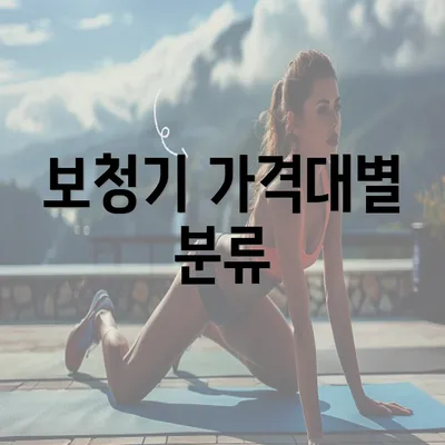 보청기 가격대별 분류