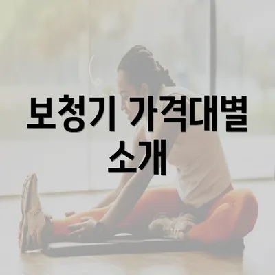 보청기 가격대별 소개