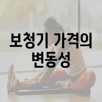 보청기 가격의 변동성