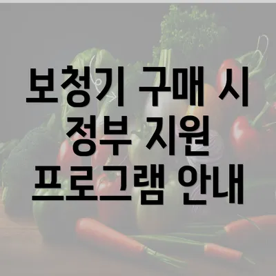 보청기 구매 시 정부 지원 프로그램 안내