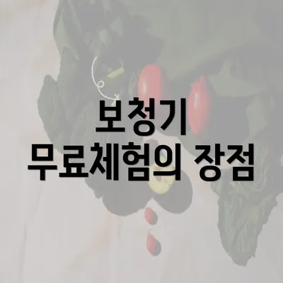 보청기 무료체험의 장점