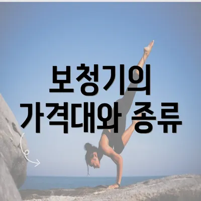 보청기의 가격대와 종류