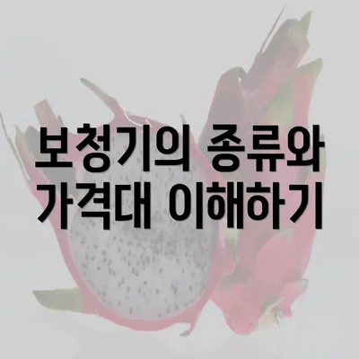 보청기의 종류와 가격대 이해하기