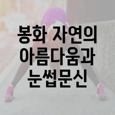 봉화 자연의 아름다움과 눈썹문신