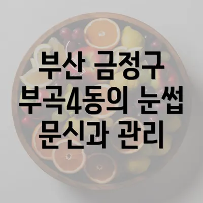 부산 금정구 부곡4동의 눈썹 문신과 관리