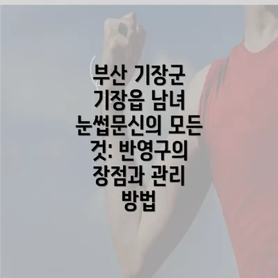 부산 기장군 기장읍 남녀 눈썹문신의 모든 것: 반영구의 장점과 관리 방법