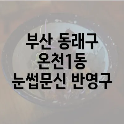 부산 동래구 온천1동 눈썹문신 반영구