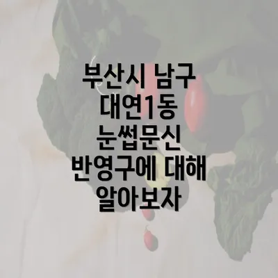 부산시 남구 대연1동 눈썹문신 반영구에 대해 알아보자