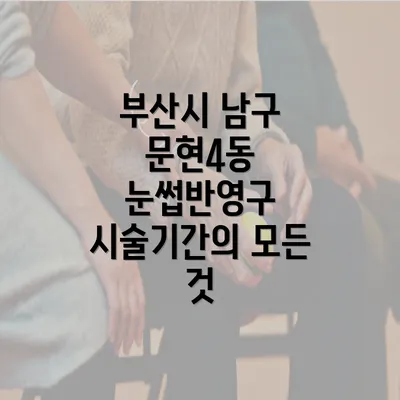 부산시 남구 문현4동 눈썹반영구 서비스에 대한 깊은 이해