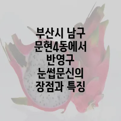 부산시 남구 문현4동에서 반영구 눈썹문신의 장점과 특징