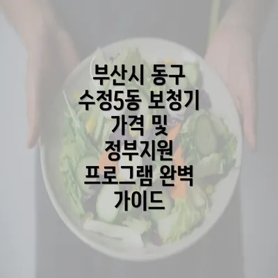 부산시 동구 수정5동 보청기 가격 및 정부지원 프로그램 완벽 가이드