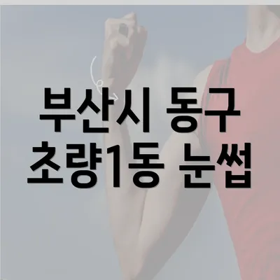 부산시 동구 초량1동 눈썹