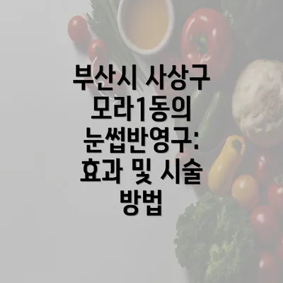 부산시 사상구 모라1동의 눈썹반영구: 효과 및 시술 방법