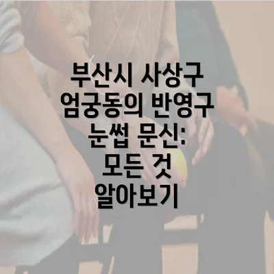 부산시 사상구 엄궁동의 반영구 눈썹 문신: 모든 것 알아보기