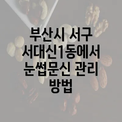 부산시 서구 서대신1동에서 눈썹문신 관리 방법