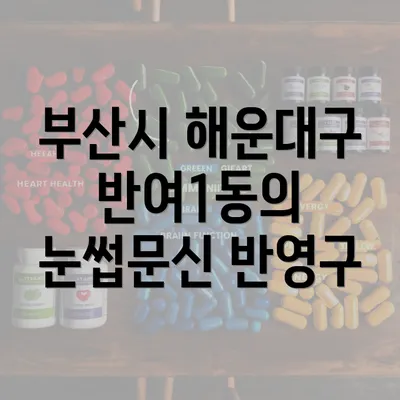 부산시 해운대구 반여1동의 눈썹문신 반영구