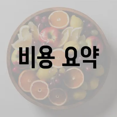 비용 요약