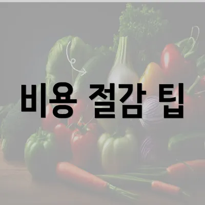 비용 절감 팁