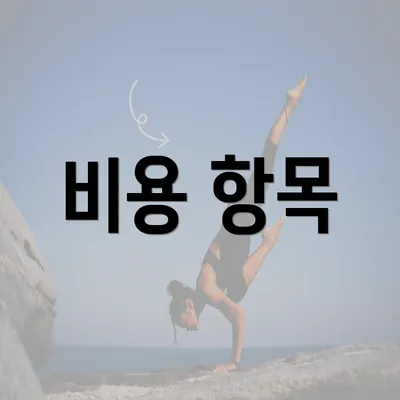 비용 항목