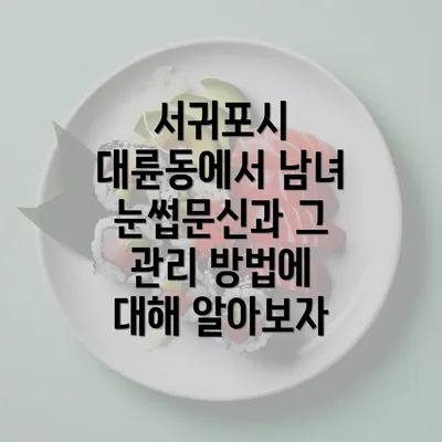 서귀포시 대륜동에서 남녀 눈썹문신과 그 관리 방법에 대해 알아보자