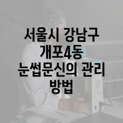 서울시 강남구 개포4동 눈썹문신의 관리 방법