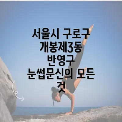 서울시 구로구 개봉제3동 반영구 눈썹문신의 모든 것