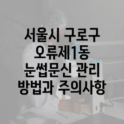 서울시 구로구 오류제1동 눈썹문신 관리 방법과 주의사항