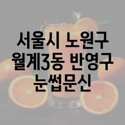 서울시 노원구 월계3동 반영구 눈썹문신