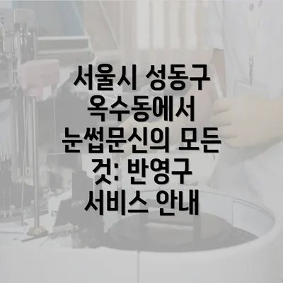 서울시 성동구 옥수동에서 눈썹문신의 모든 것: 반영구 서비스 안내