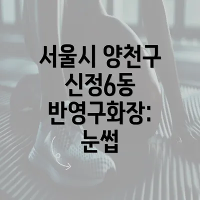 서울시 양천구 신정6동 반영구화장: 눈썹