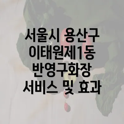 서울시 용산구 이태원제1동 반영구화장 서비스 및 효과